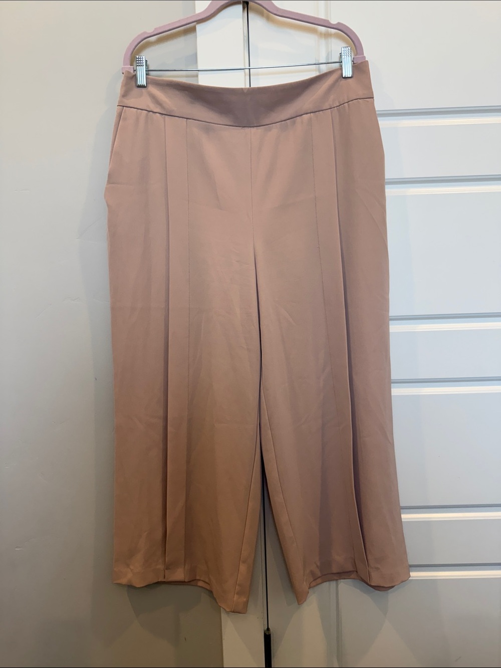 Zara Wide-Leg Cropped Pants in Dusty Rose